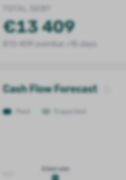 Dashboard — Total Debt KPI card with portfolio debt headline and overdue (>15 days) subtitle