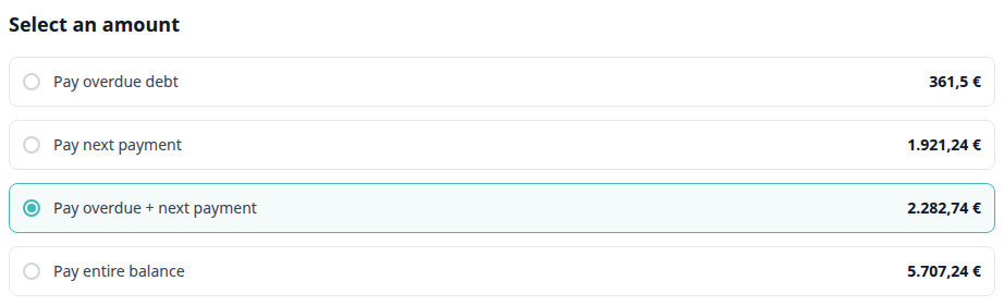 Tenant Portal — Select an amount radios with Pay overdue + next payment selected